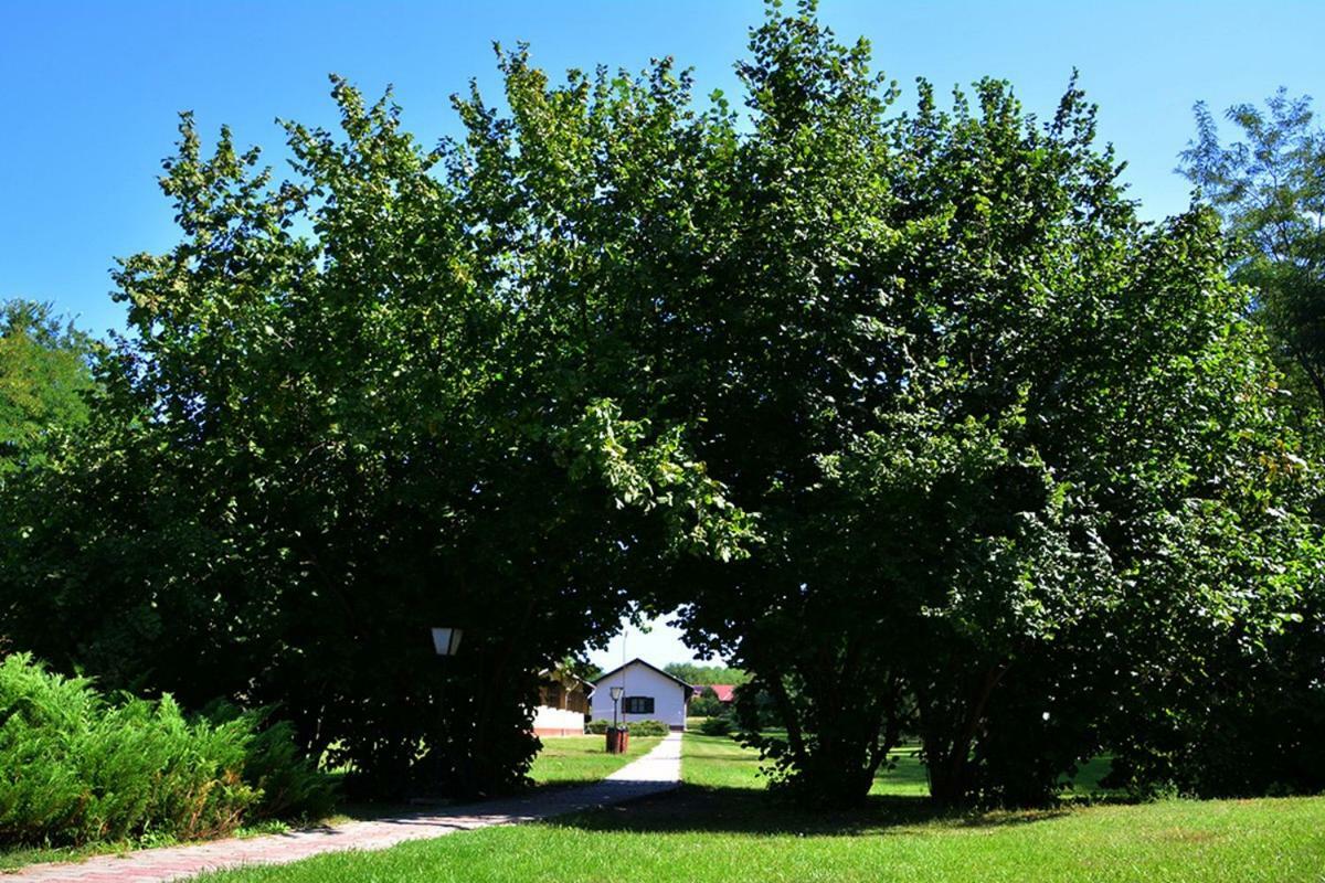 Sipito Pihenopark Otel Pilis Dış mekan fotoğraf