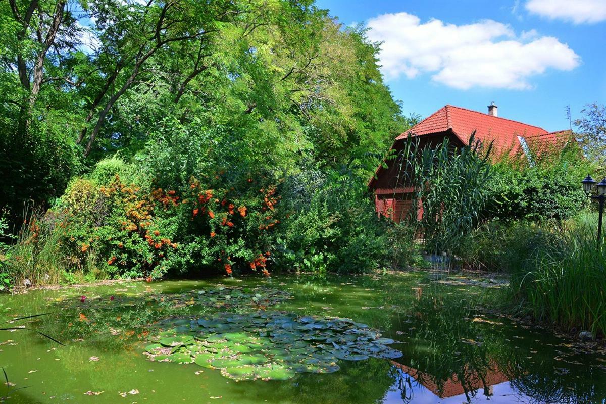 Sipito Pihenopark Otel Pilis Dış mekan fotoğraf