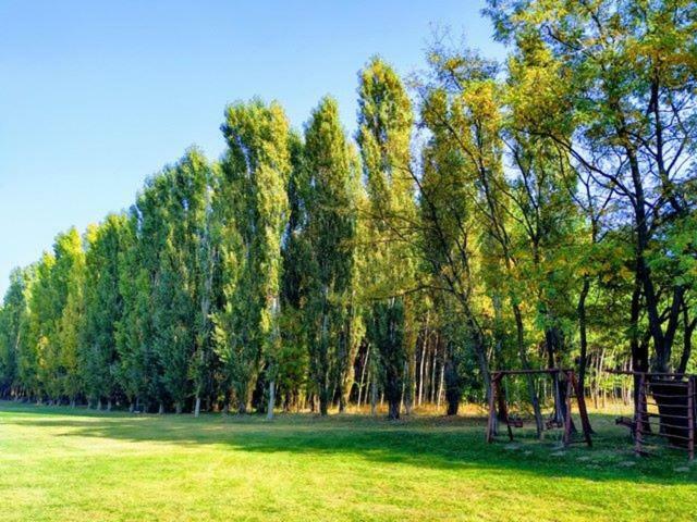 Sipito Pihenopark Otel Pilis Dış mekan fotoğraf