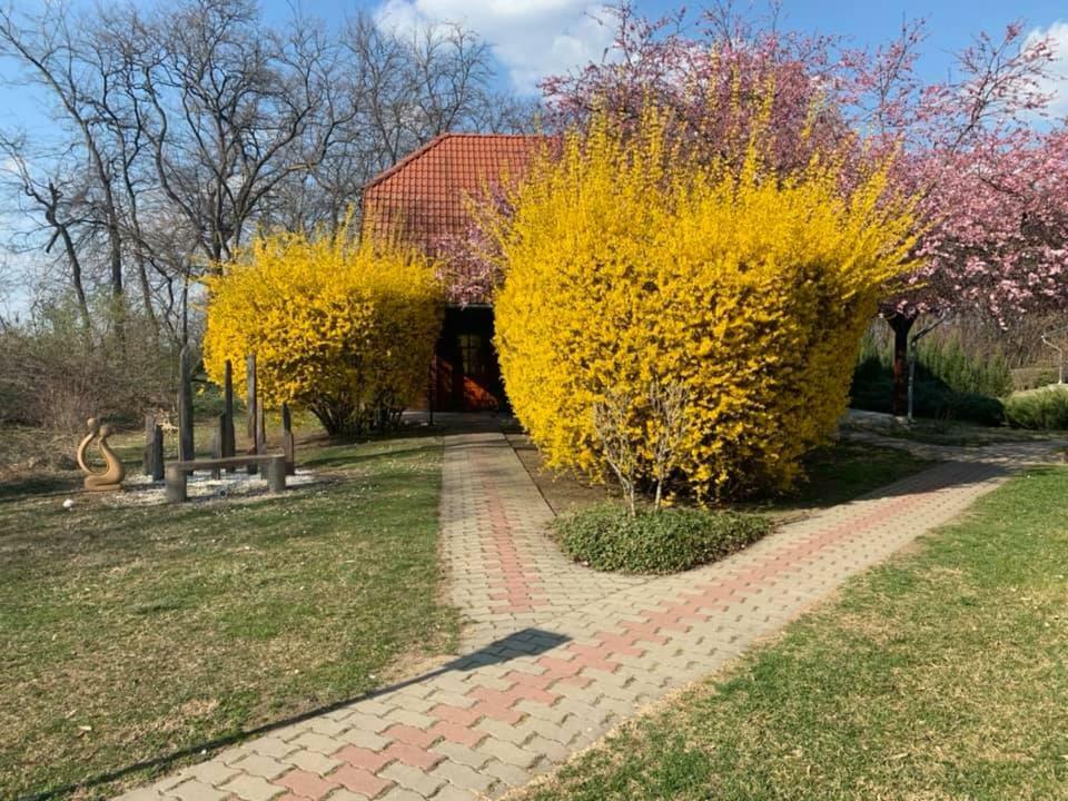 Sipito Pihenopark Otel Pilis Dış mekan fotoğraf